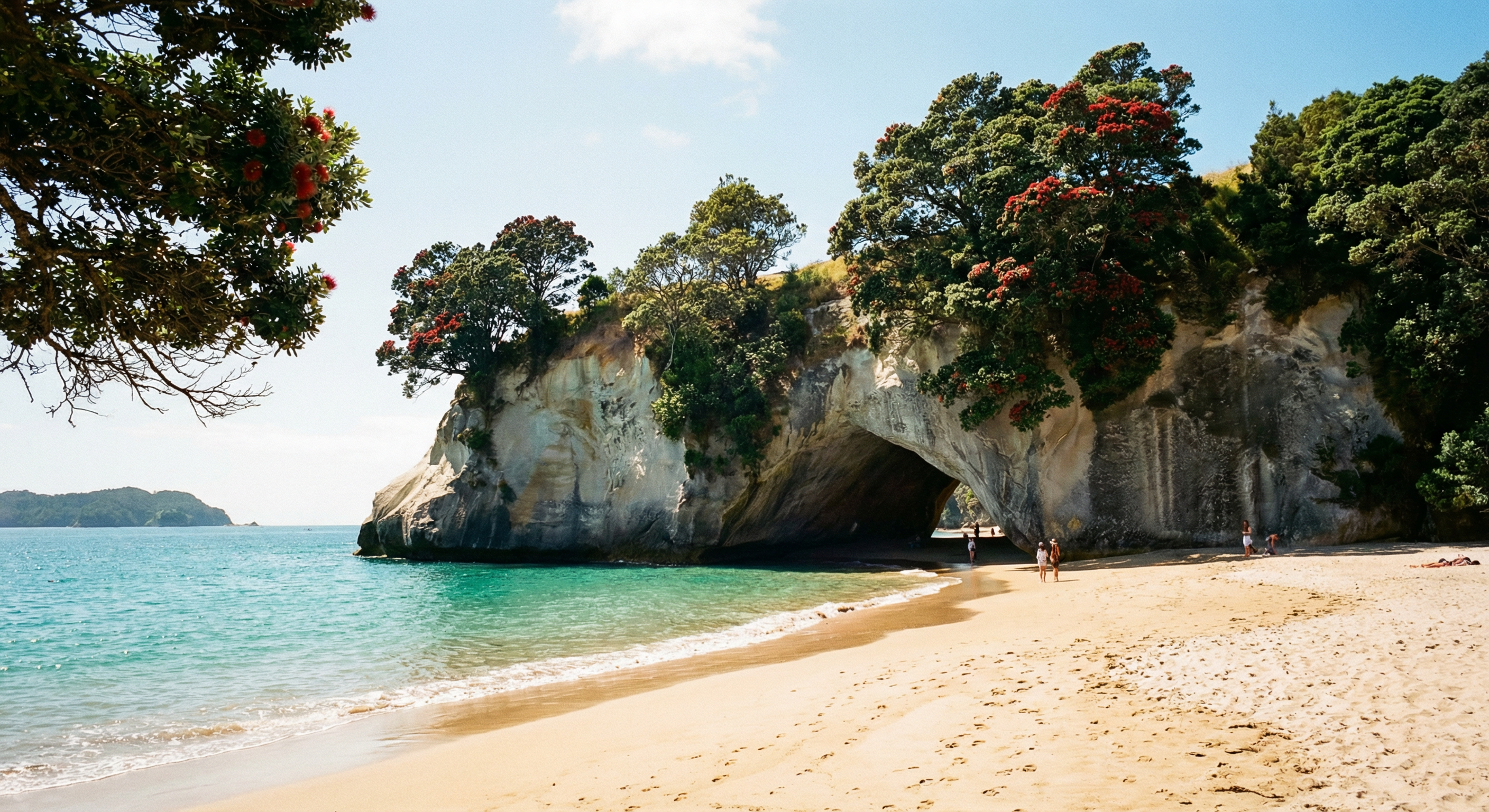 Coromandel